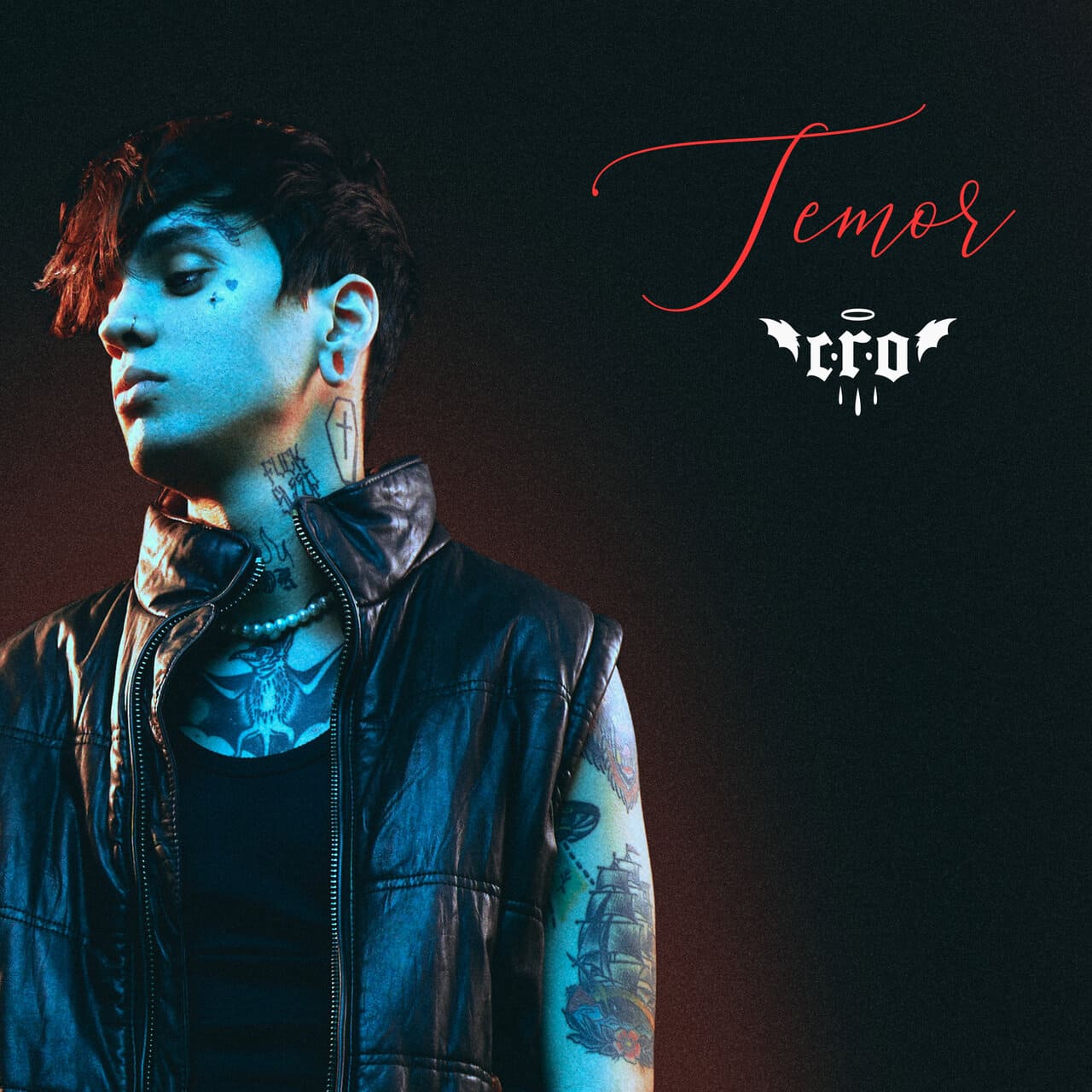 Portada album temor